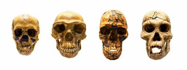 Aucun lieu de naissance unique de l'humanité, disent les scientifiques 1 Aucun lieu de naissance unique de l'humanité, disent les scientifiques 1