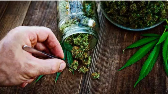 5 choses que personne ne vous dira sur le fait de fumer de la marijuana. 2