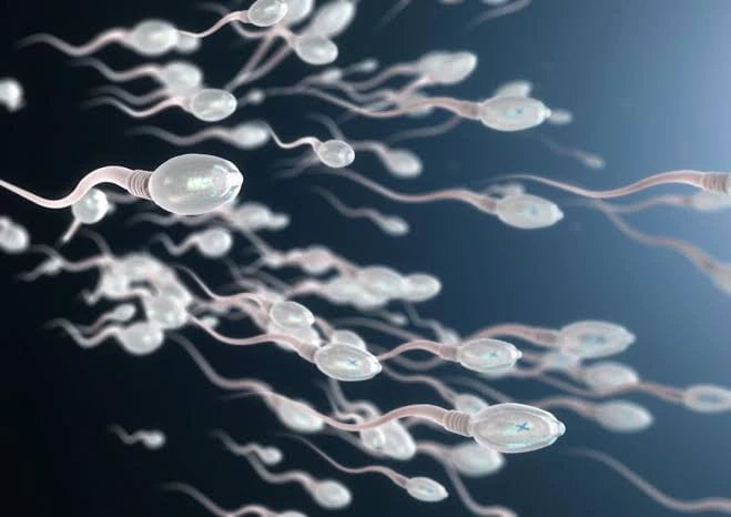 POUR HOMMES: 4 aliments qui peuvent endommager vos spermatozoïdes 2