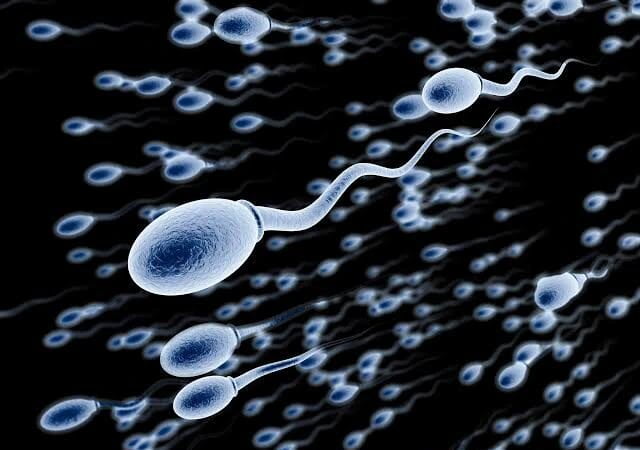 POUR HOMMES: 4 aliments qui peuvent endommager vos spermatozoïdes 1 POUR HOMMES: 4 aliments qui peuvent endommager vos spermatozoïdes 1