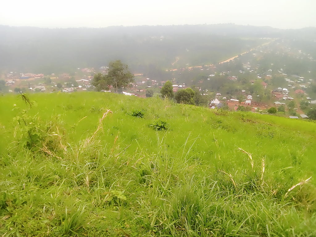 Ituri : une quarantaine de civils tués par des assaillants à Irumu ce jeudi 1